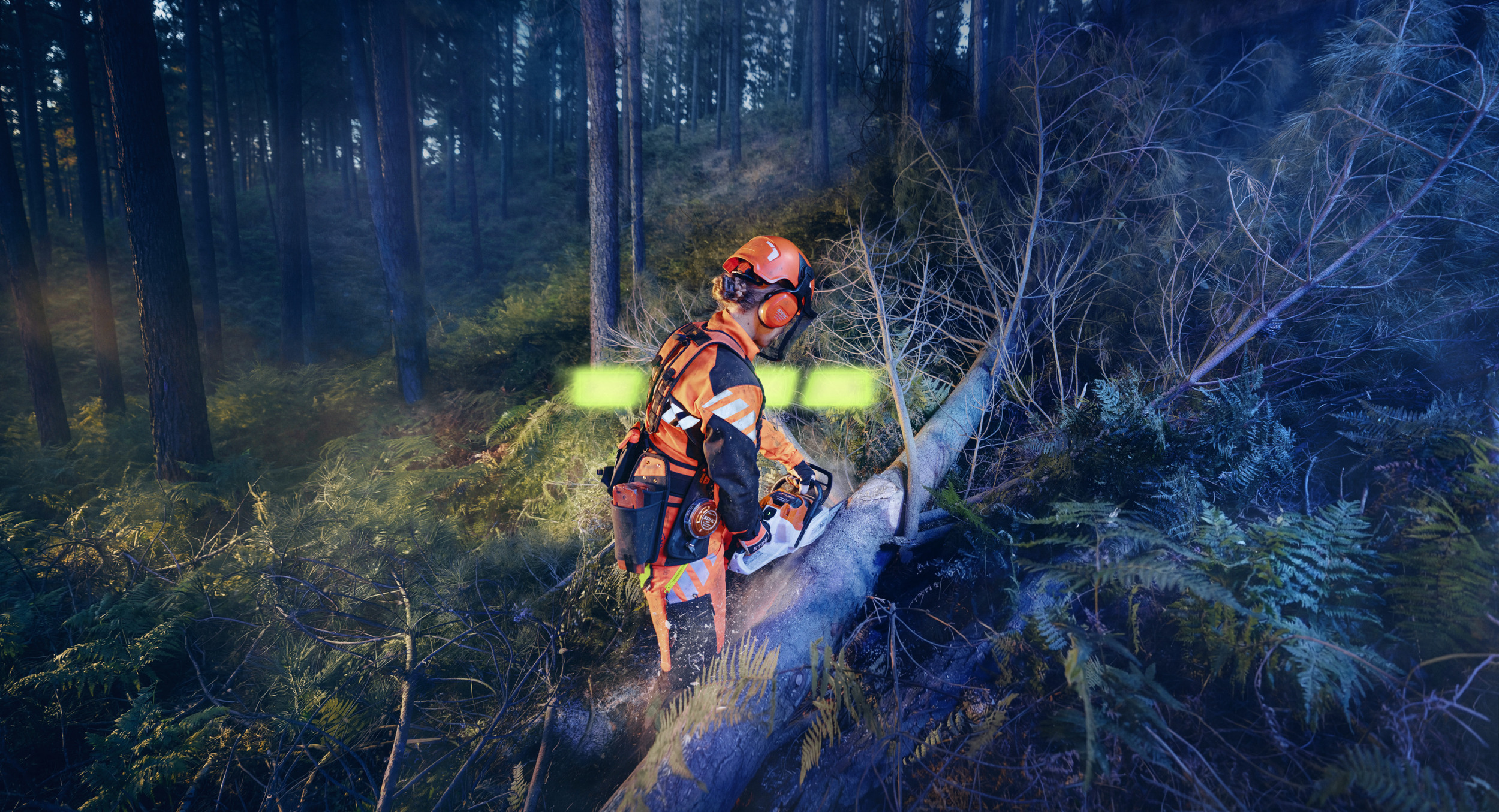 STIHL ALLPRO in gebruik met de MSA 260 tijdens bosbouwwerkzaamheden
