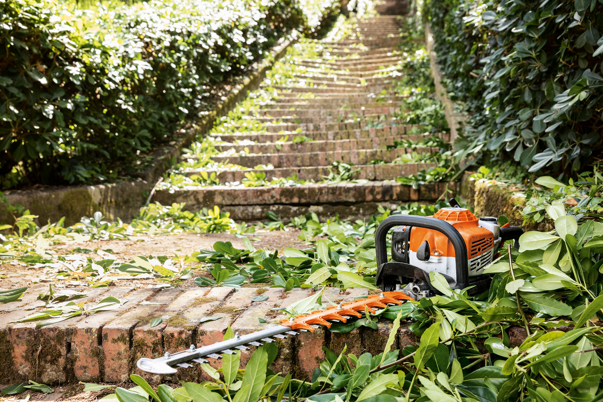 Le taille-haies thermique STIHL HS 82 T se trouve entre des feuilles vertes sur des escaliers avant son entretien