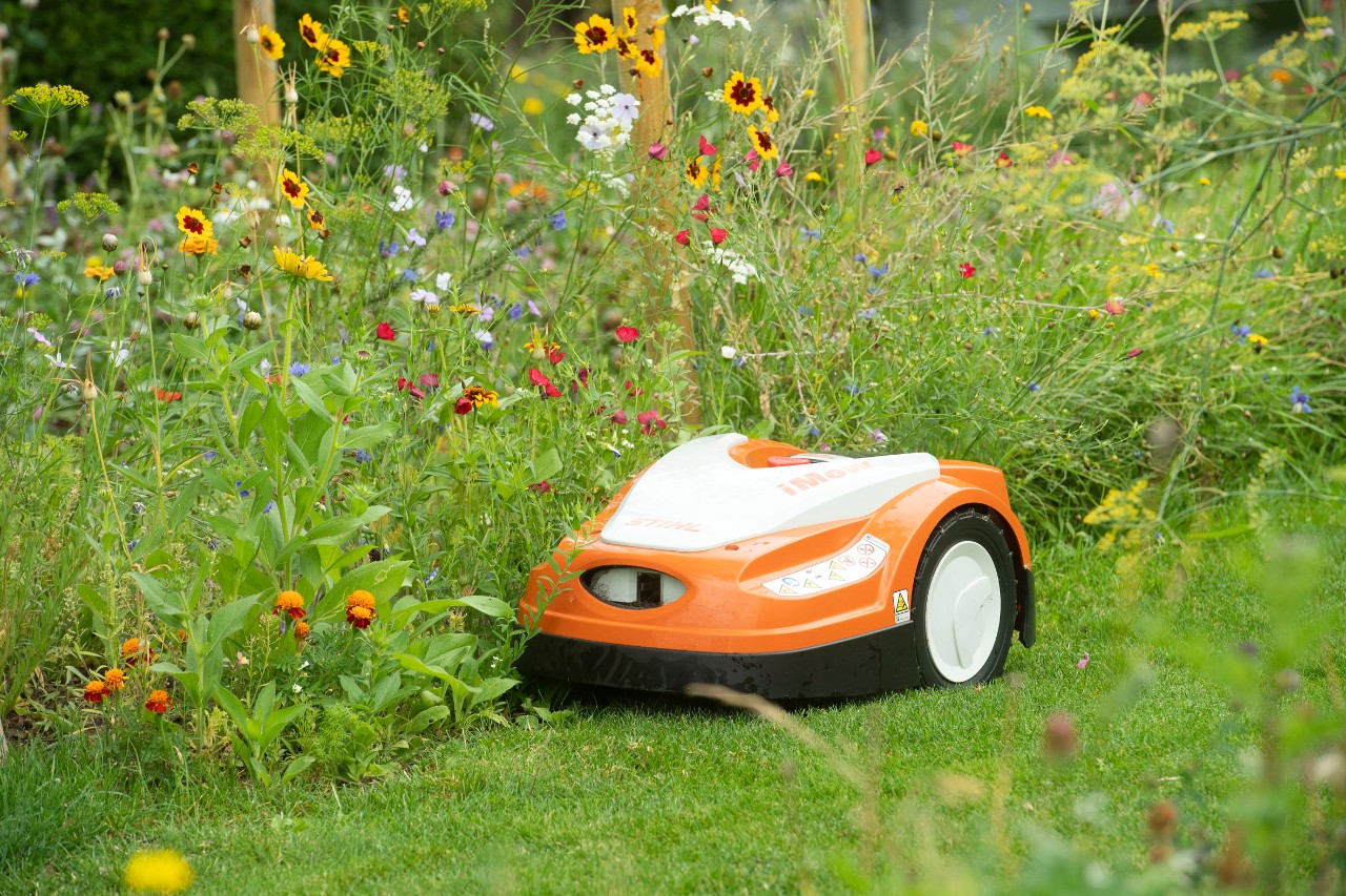 Les bordures fleuries de pelouses tondues par des tondeuses robots sont agréables à regarder et améliorent la biodiversité.