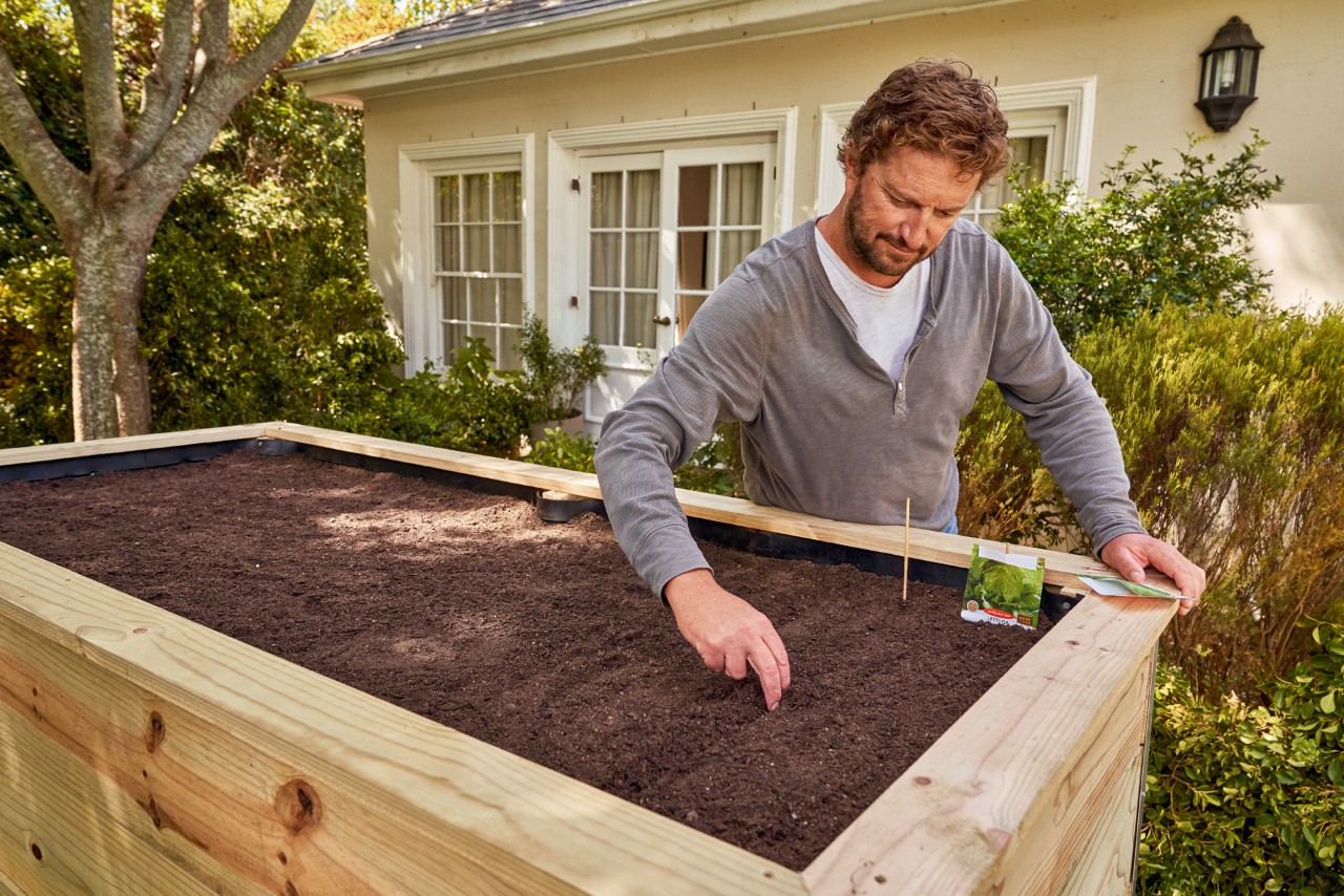 Un homme plante des graines dans son potager sur pieds 
