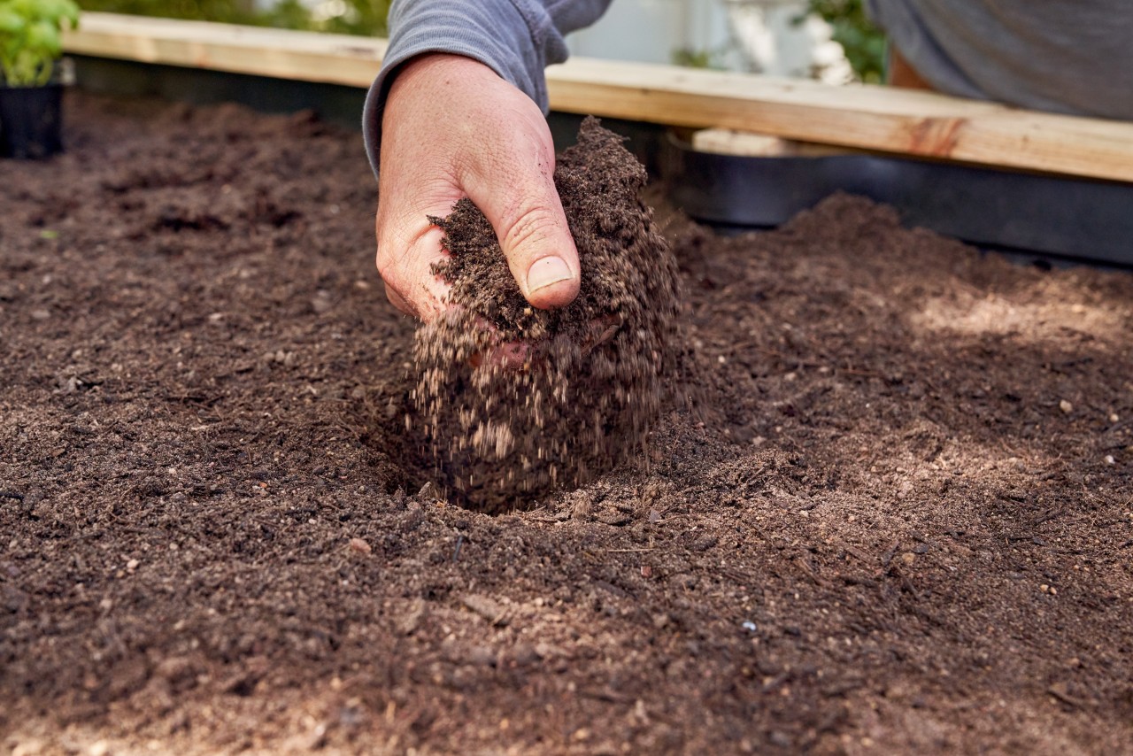 La qualité de la terre du potager surélevé doit être en bonne santé