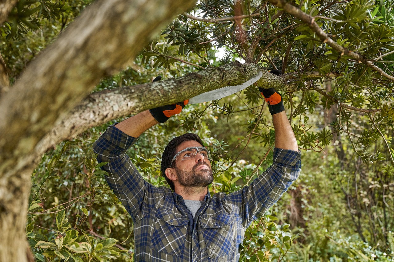 Un homme avec des gants et des lunettes de protection STIHL scie une branche en partant du bas jusqu’au centre de la branche