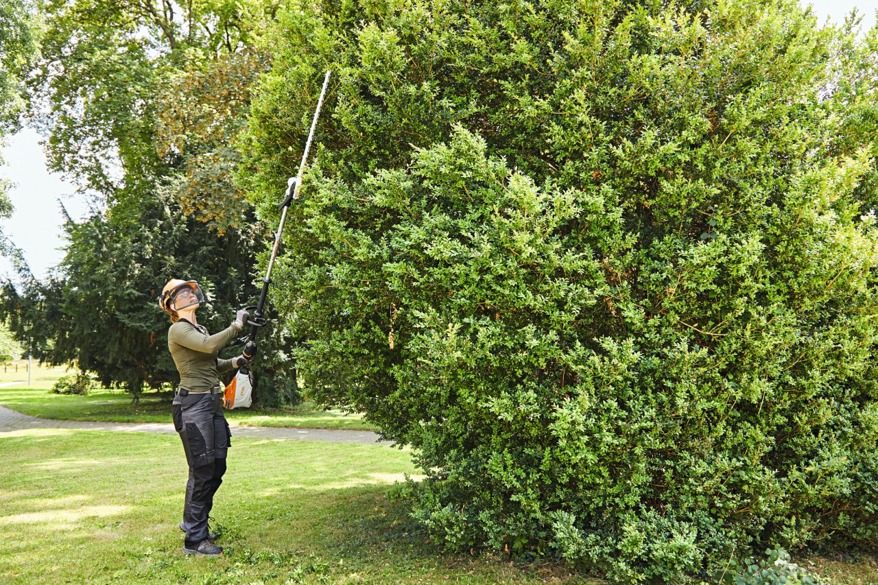 Une femme taille un buis non entretenu en pleine croissance dans un parc avec un coupe-haies à batterie STIHL HLA 135
