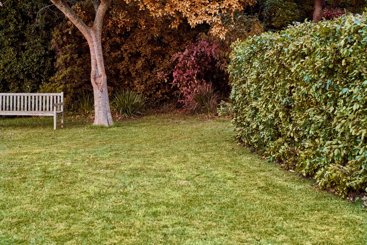Un banc, des arbres aux feuilles marron et une haie dans un jardin bien soigné après un entretien du gazon en automne