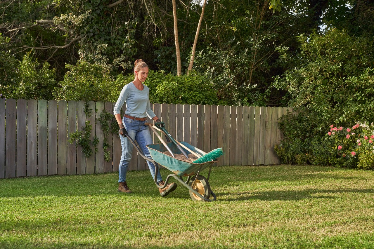 Une femme pousse une brouette avec des outils de jardinage pour sabler le gazon