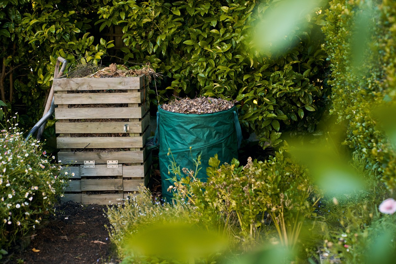 Un bac à compost en bois à côté d’un sac de feuilles, devant une haie