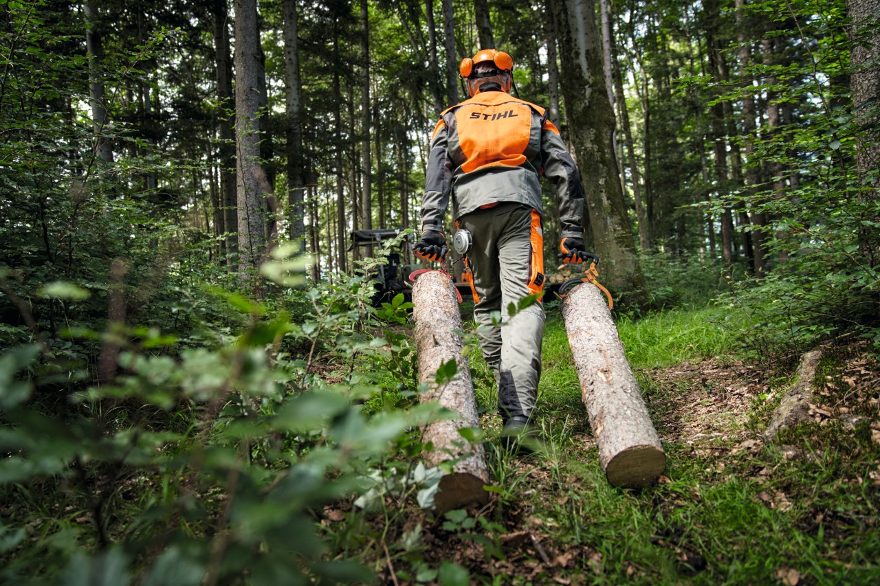 Bosarbeider met STIHL veiligheidsuitrusting bij het vervoer van hout op een bosweg