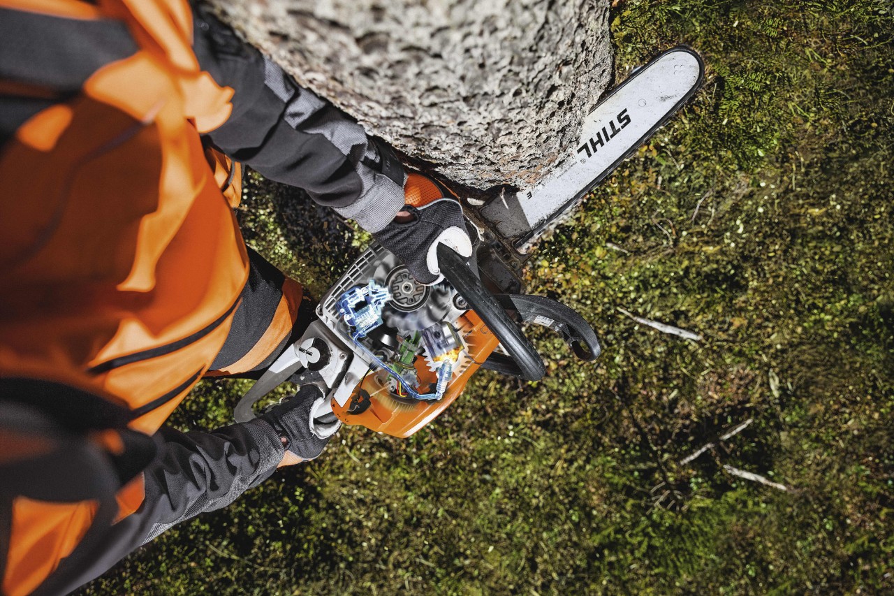 Persoon in veiligheidsuitrusting zaagt boom om met STIHL kettingzaag MS 261 C-M
