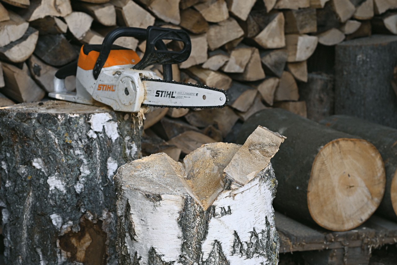 STIHL MSA 120 accukettingzaag en een boomstam waarin een inkeping is gezaagd