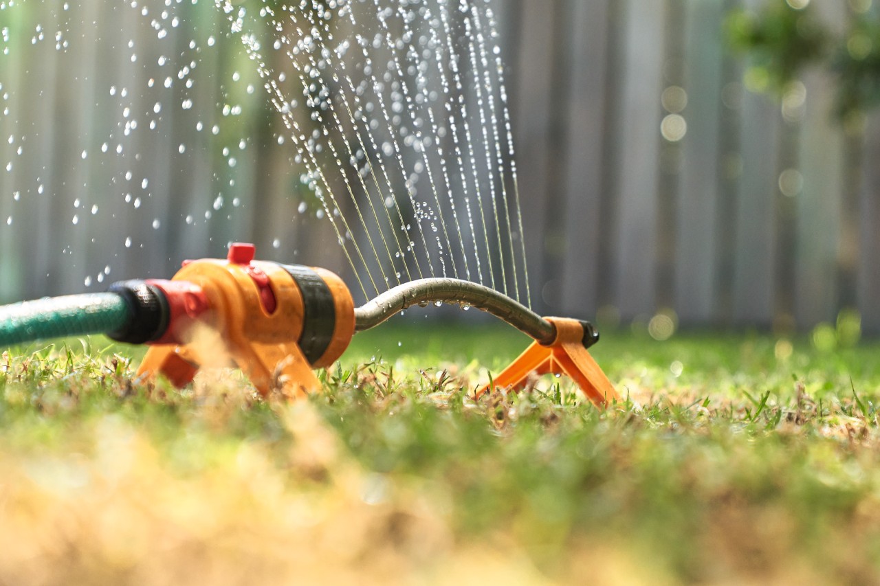 Close-up van een gazon dat wordt besproeid met een sproeier 