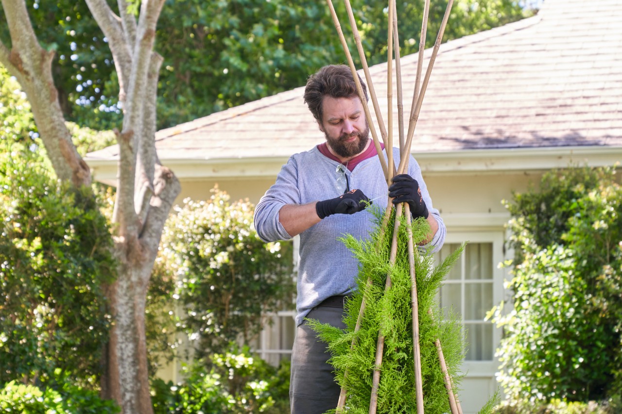 Een man bindt bamboestokken boven de plant samen tot een kegelvorm