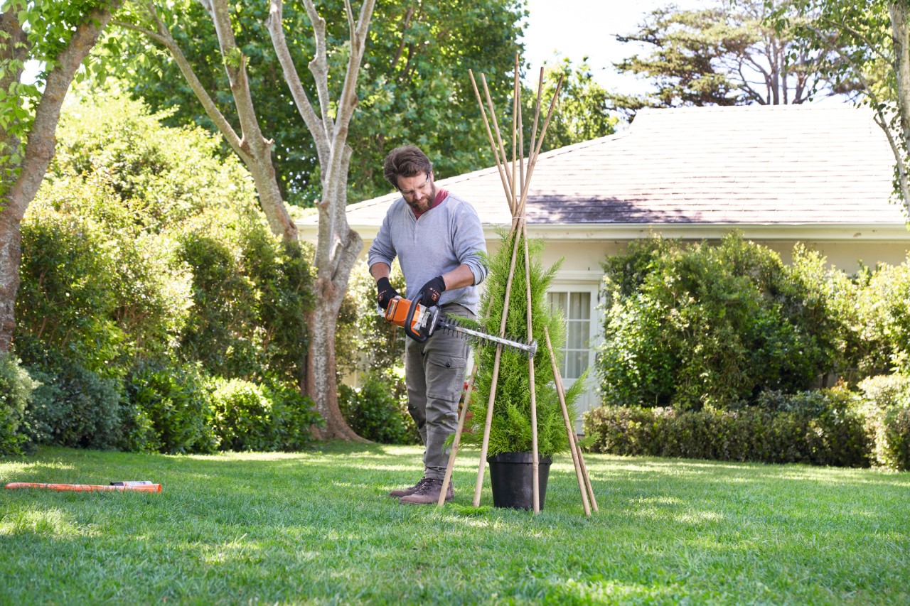 Een man snoeit met een STIHL accuheggenschaar alle takken af die uit het bamboeframe steken