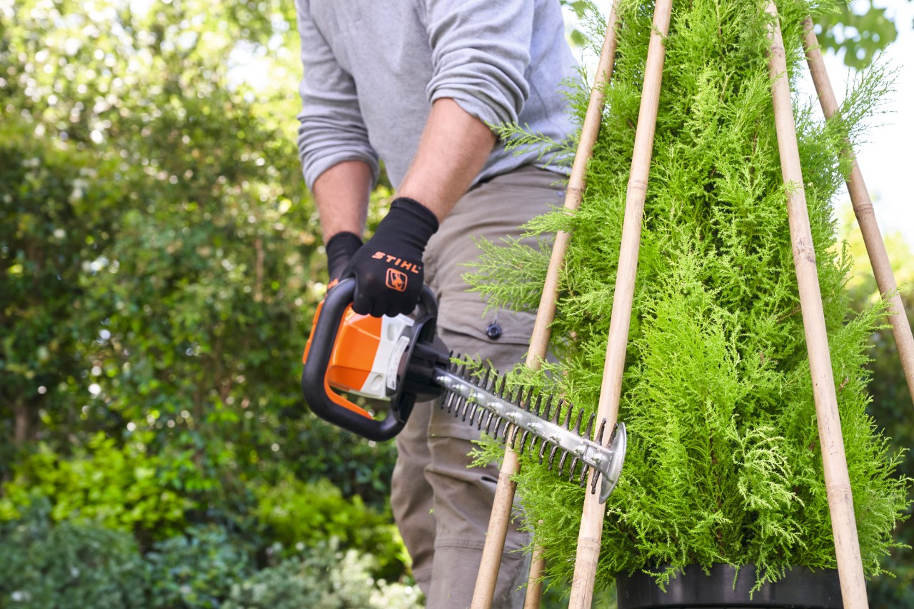 Een man snoeit met de STIHL accuheggenschaar de uitgeschoten plant weer bij