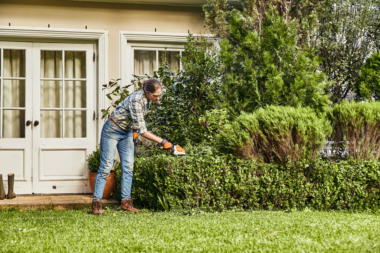 Vrouw snoeit een vlakke en lage heg met de STIHL HSA 26 accuheggenschaar bij een voordeur 