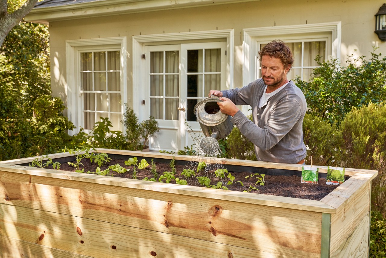 Man giet de planten na het beplanten van een verhoogd kweekbed