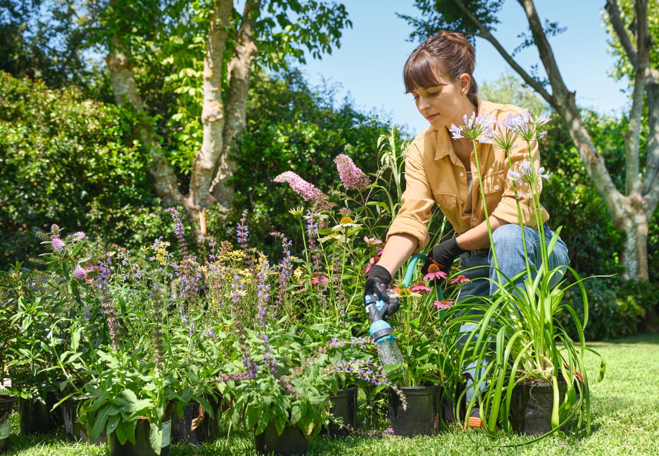 Een vrouw sproeit de planten voor het eilandperk af met een tuinslang