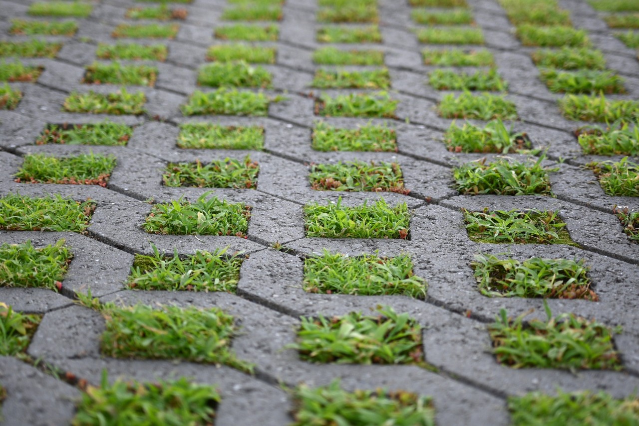 Tussen rasterstenen komt gras tevoorschijn 