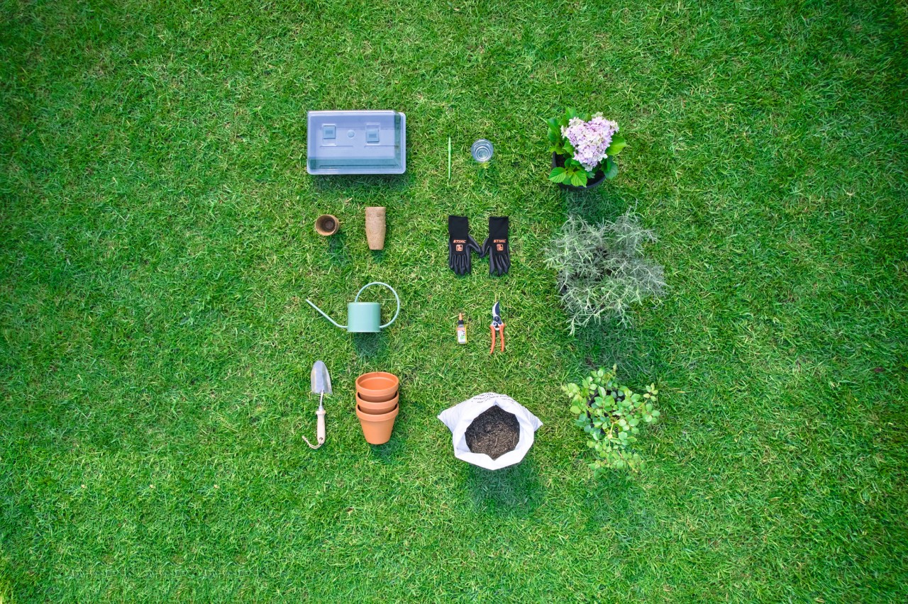 Gereedschap en materialen gesorteerd in een weide om stekjes te maken en te planten